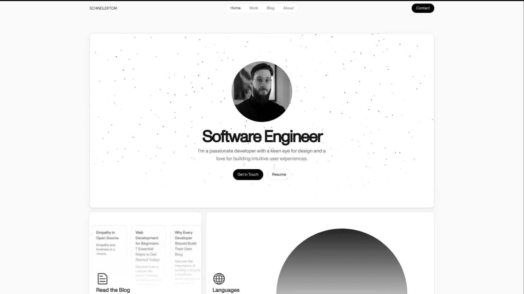 portfolio of Software Engineer category